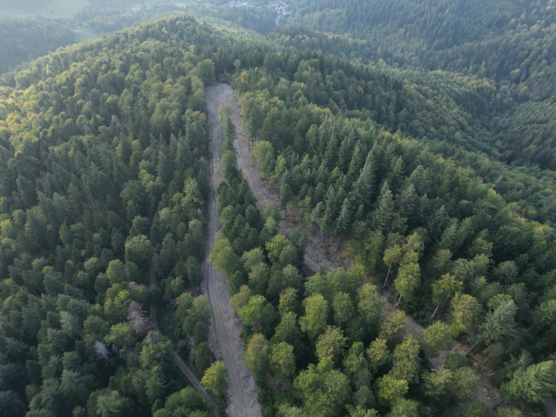 Vergleich Zufahrtsweg  zur geplanten WEA2 (ca. 4-5  m) und normaler Waldweg (Hanfackerweg) (links unten)